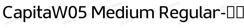 CapitaW05 Medium Regular字体转换